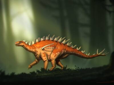 Обнаруженный в Китае новый вид стегозавров претендует на титул древнейшего в мире - polit.ru - Китай - Австралия - Лондон - Антарктида