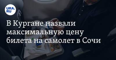 В Кургане назвали максимальную цену билета на самолет в Сочи - ura.news - Россия - Сочи - Курган