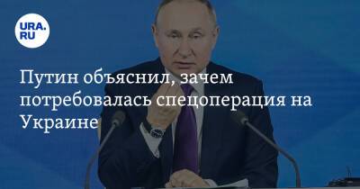 Владимир Путин - Путин объяснил, зачем потребовалась спецоперация на Украине - ura.news - Россия - Украина - Киев - Крым - ЛНР