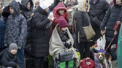 Владимир Путин - В Польше растет число украинских беженцев - ru.euronews.com - Россия - Украина - Киев - Польша - Запорожье