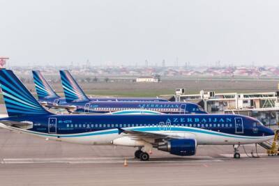 AZAL и Buta Airways приостанавливают все рейсы в города Российской Федерации - trend.az - Россия - Азербайджан