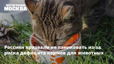 Россиян призвали не паниковать из-за риска дефицита кормов для животных - vm.ru - Россия