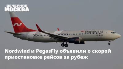 Роман Гусаров - Nordwind и PegasFly объявили о скорой приостановке рейсов за рубеж - vm.ru - Россия
