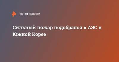 Сильный пожар подобрался к АЭС в Южной Корее - ren.tv - Южная Корея - Сеул