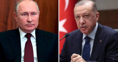 Владимир Путин - Реджеп Эрдоган - Тайип Эрдоган - Путин и Эрдоган проводят телефонные переговоры по ситуации на Украине - ren.tv - Россия - Украина - Турция