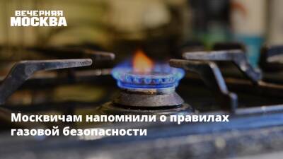 Москвичам напомнили о правилах газовой безопасности - vm.ru - Москва - Москва