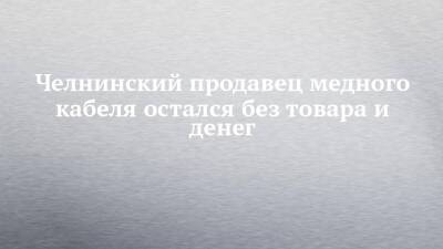 Челнинский продавец медного кабеля остался без товара и денег - chelny-izvest.ru
