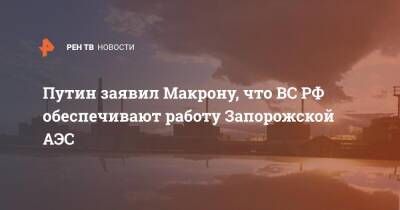 Владимир Путин - Эммануэль Макрон - Путин заявил Макрону, что ВС РФ обеспечивают работу Запорожской АЭС - ren.tv - Россия - Украина - Франция - Переговоры