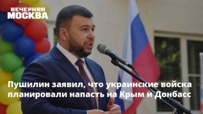 Владимир Путин - Денис Пушилин - Пушилин заявил, что украинские войска планировали напасть на Крым и Донбасс - vm.ru - Москва - Россия - Украина - Крым - ДНР - Крым