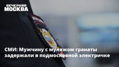 СМИ: Мужчину с муляжом гранаты задержали в подмосковной электричке - vm.ru - Москва - Московская обл.