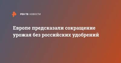 Европе предсказали сокращение урожая без российских удобрений - ren.tv - Россия - Украина - Франция - Европа