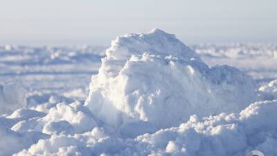Валерий Федоров - Российские ученые назвали причину повышения температуры в Арктике - mir24.tv - Россия - Антарктида