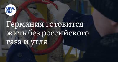 Роберт Хабек - Власти ФРГ предупредили о трудной зиме без газа и угля из России - ura.news - Россия - США - Украина - Германия