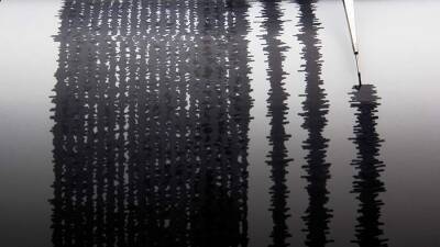 Землетрясение магнитудой 6 произошло у берегов Фиджи - iz.ru - США - Израиль - Фиджи