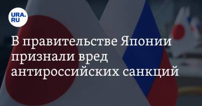 Владимир Путин - В правительстве Японии признали вред антироссийских санкций - ura.news - Россия - США - Украина - Япония