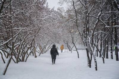 Густаво Зырянов - В Новосибирской области ожидается похолодание до -22 градусов на 8 Марта - sib.fm - Новосибирск - Новосибирская обл.
