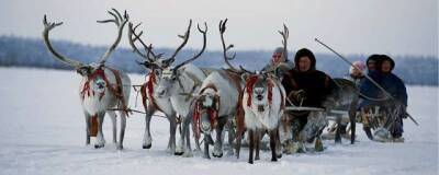 ЯНАО в 2021 году посетило больше туристов, чем до пандемии - runews24.ru - Салехард - окр. Янао