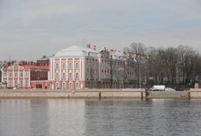 Владимир Путин - Более 600 сотрудников и студентов СПБГУ подписались под обращением в поддержку президента России - online47.ru - Россия - Украина - Санкт-Петербург