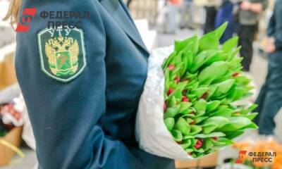 Где на Южном Урале купить свежие тюльпаны: подсказка для мужчин - fedpress.ru - Челябинская обл.