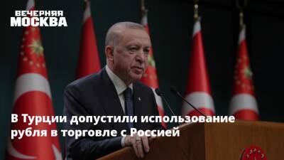 Владимир Путин - Реджеп Тайип Эрдоган - В Турции допустили использование рубля в торговле c Россией - vm.ru - Россия - Украина - Киев - Турция - Франция