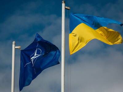 Анналена Бербок - В НАТО объяснили отказ закрывать небо над Украиной - trend.az - Россия - Украина - Германия