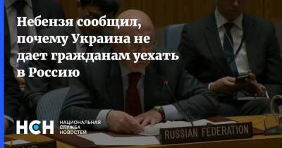 Василий Небензя - Василий Небензи - Небензя сообщил, почему Украина не дает гражданам уехать в Россию - nsn.fm - Россия - Украина