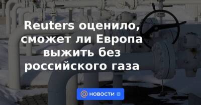 Reuters оценило, сможет ли Европа выжить без российского газа - smartmoney.one - Норвегия - Россия - США - Англия - Германия - Испания - Голландия - Азербайджан - Катар - деревня Ляйен Заявила - Reuters