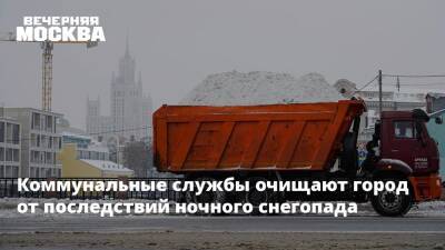 Коммунальные службы очищают город от последствий ночного снегопада - vm.ru - Москва