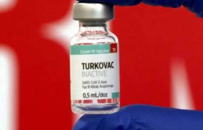 Константин Шапиро - В Азербайджане начинаются клинические испытания турецкой вакцины TURKOVAC - trend.az - Турция - Азербайджан