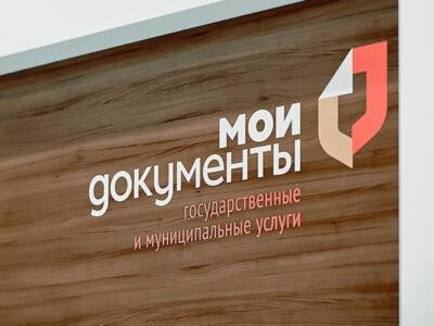 У многофункциональных центров Удмуртии появилось мобильное приложение - gorodglazov.com - респ. Удмуртия - Удмуртия