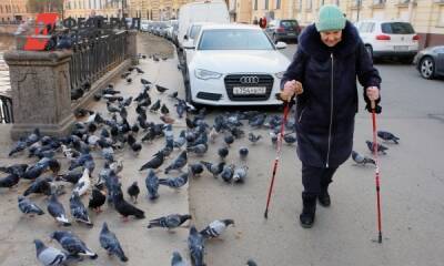 Кто из пенсионеров может претендовать на ежемесячную выплату в 6 тысяч рублей - fedpress.ru - Москва - Россия