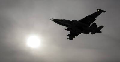 Шимоните: участившиеся полеты российских военных самолетов удивлять не должны - rus.delfi.lv - Россия - Украина - Белоруссия - Эстония - Литва - Латвия