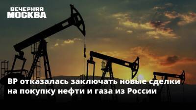 Владимир Путин - Бернард Луни - BP отказалась заключать новые сделки на покупку нефти и газа из России - vm.ru - Россия - Украина - Киев - Англия - ДНР - ЛНР