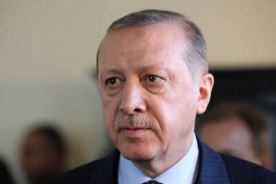 Реджеп Тайип Эрдоган - Эрдоган обсудил ситуацию в Украине с лидерами более 20 стран - trend.az - Украина - Турция