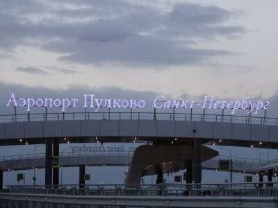 В Пулково из-за угрозы взрыва приземлились пассажирские самолеты - rosbalt.ru - Россия - Махачкала - Мурманск