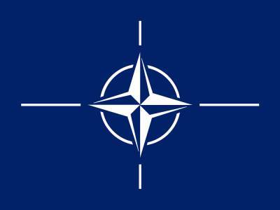 Министры обороны НАТО проведут внеочередную видеоконференцию - trend.az