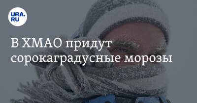 В ХМАО придут сорокаградусные морозы - ura.news - Ханты-Мансийск - Сургут - Югра - Нижневартовск