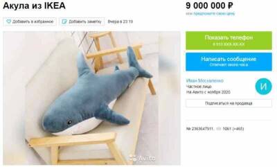 Новосибирец выставил на продажу акулу из IKEA за 9 млн рублей - news.vse42.ru - Россия - Новосибирск - Швеция - Новосибирск