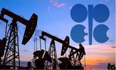 Александр Новак - Мухаммед Баркиндо - В ОПЕК не наблюдают нехватки предложений на рынке нефти - trend.az - Россия - Украина