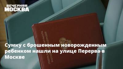 Сумку с брошенным новорожденным ребенком нашли на улице Перерва в Москве - vm.ru - Москва - Алтайский край - Москва