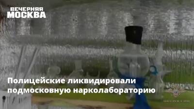 Ирина Волк - Полицейские ликвидировали подмосковную нарколабораторию - vm.ru - Россия - Московская обл.