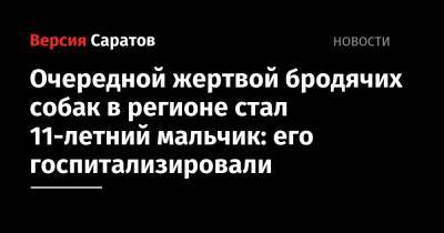 Очередной жертвой бродячих собак стал 11-летний мальчик: его госпитализировали - nversia.ru - Саратов