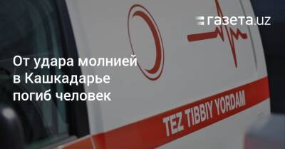 От удара молнией в Кашкадарье погиб человек - gazeta.uz - Узбекистан