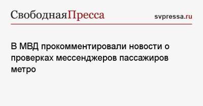 Ирина Волк - В МВД прокомментировали новости о проверках мессенджеров пассажиров метро - svpressa.ru - Россия - США - Амурская обл. - Благовещенск