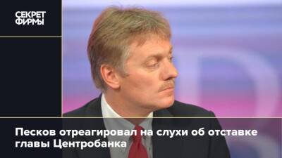 Владимир Путин - Дмитрий Песков - Эльвира Набиуллина - Песков отреагировал на слухи об отставке главы Центробанка - secretmag.ru - Россия