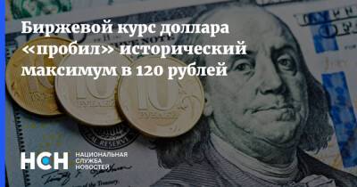 Биржевой курс доллара «пробил» исторический максимум в 120 рублей - nsn.fm