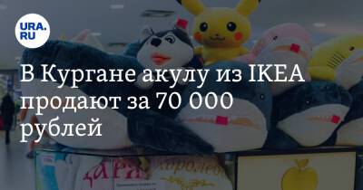 В Кургане акулу из IKEA продают за 70 000 рублей - ura.news - Россия - Украина - Белоруссия - Швеция - Курган