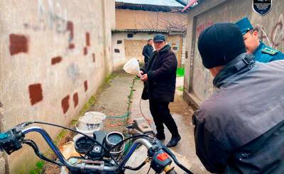 В Ташкенте нашли улочку, стены домов на которой усыпаны наркограффити. ГУВД отреагировало на ситуацию - podrobno.uz - Узбекистан - Греция - Ташкент - район Мирзо-Улугбекский