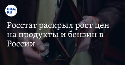 Росстат раскрыл рост цен на продукты и бензин в России - ura.news - Россия