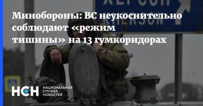 Михаил Мизинцев - Минобороны: ВС неукоснительно соблюдают «режим тишины» на 13 гумкоридорах - nsn.fm - Россия - Украина